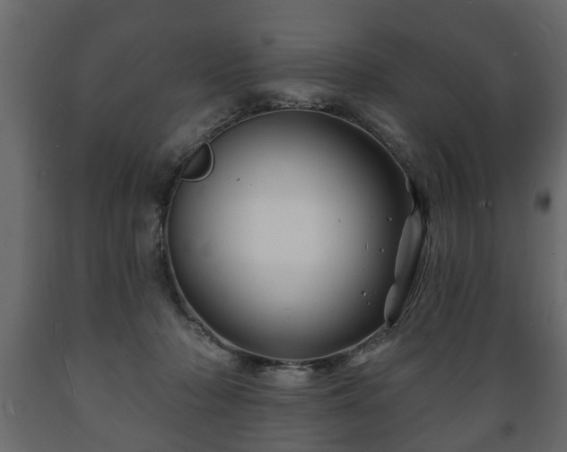 X0000089910318200707061004