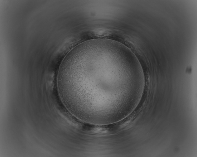 X0000089910319200707061004