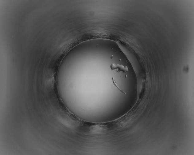 X0000089910320200707061004