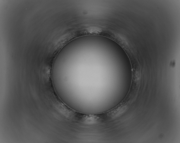 X0000089910321200707061004