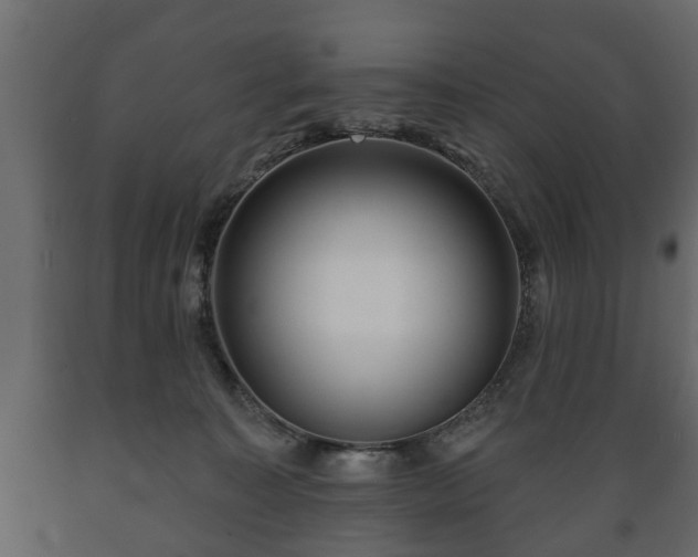 X0000089910323200707061004