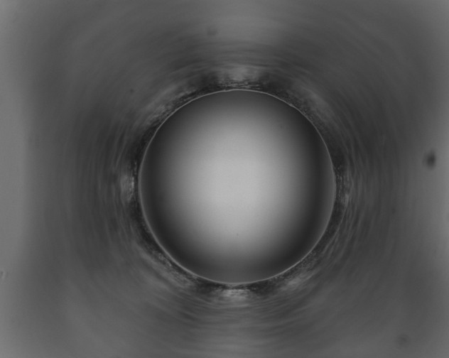 X0000089910324200707061004