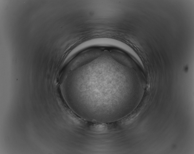 X0000089910325200707061004