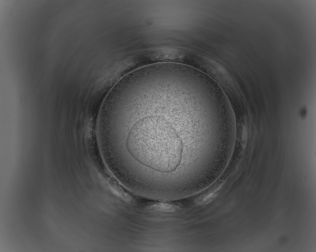 X0000089910326200707061004