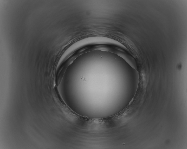 X0000089910329200707061004