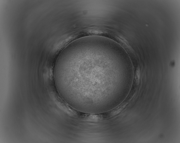 X0000089910330200707061004