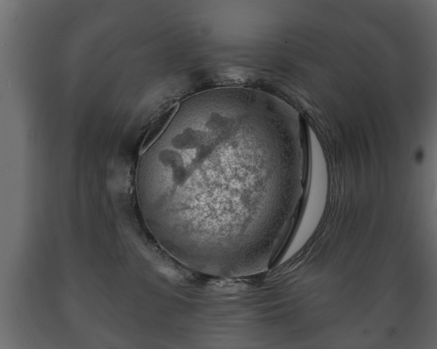 X0000089910331200707061004