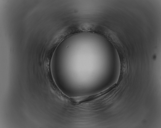 X0000089910332200707061004