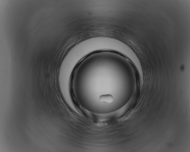 X0000089910333200707061004