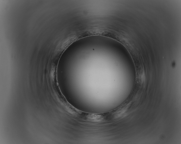 X0000089910334200707061004