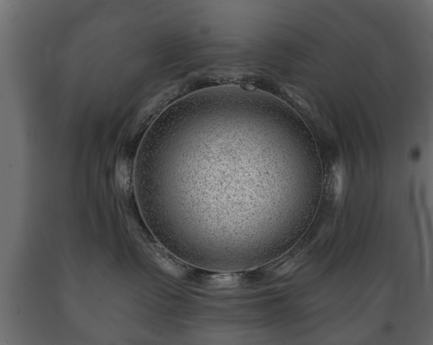 X0000089910335200707061004