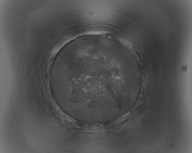 X0000089910337200707061003