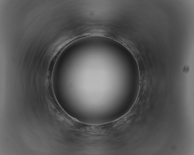 X0000089910338200707061003