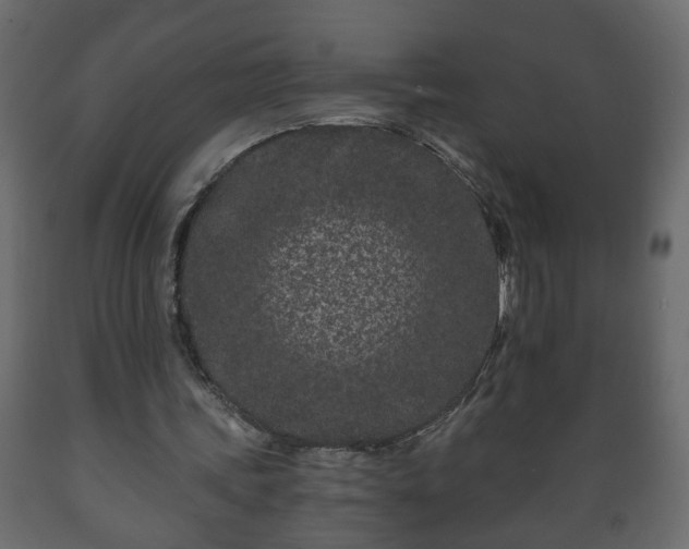 X0000089910339200707061003