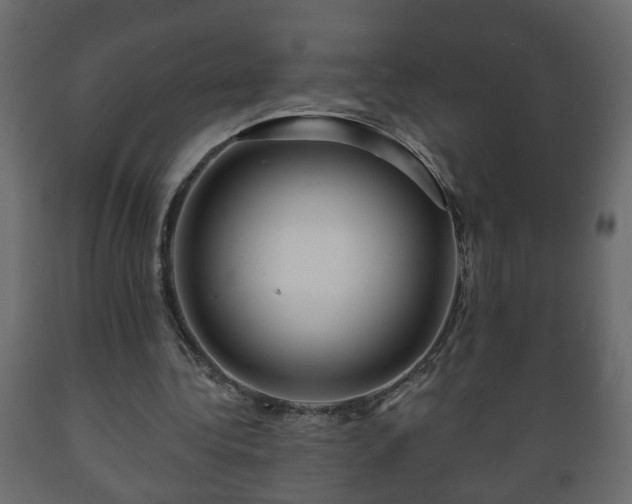 X0000089910340200707061003