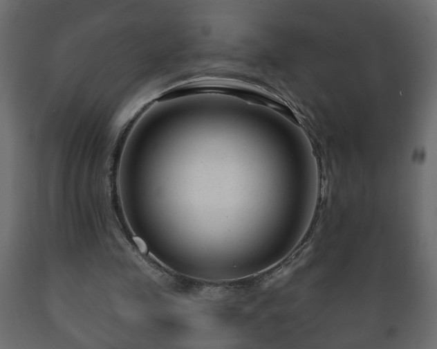 X0000089910341200707061003
