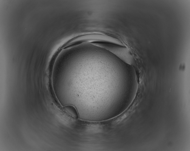 X0000089910342200707061003