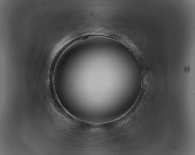 X0000089910344200707061003