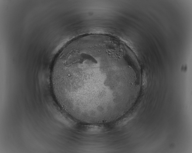 X0000089910347200707061003