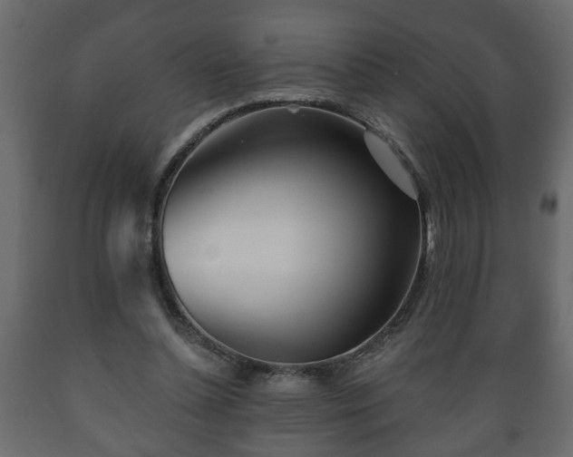 X0000089910348200707061003