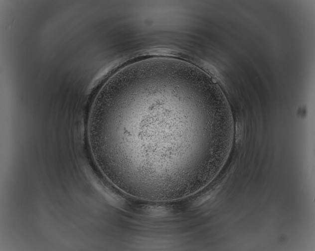 X0000089910349200707061003