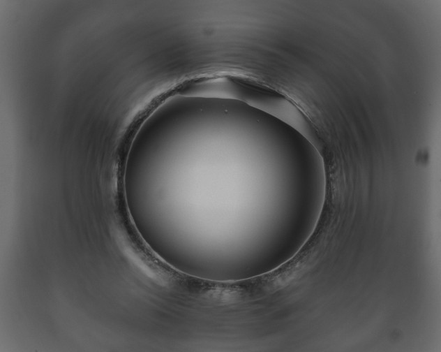 X0000089910350200707061003