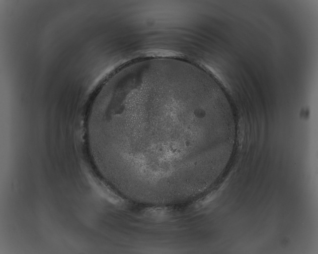 X0000089910351200707061003