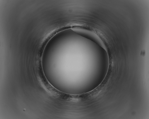 X0000089910352200707061003