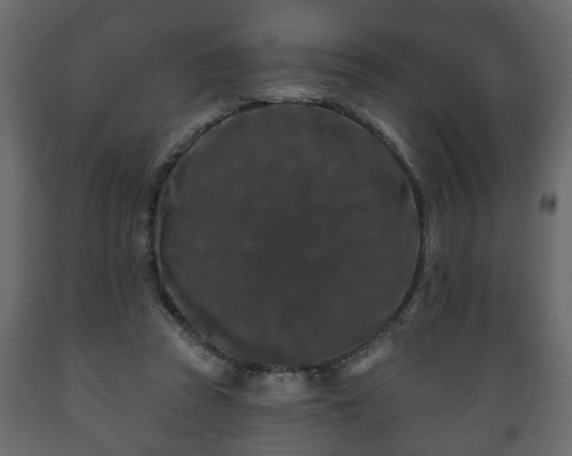 X0000089910353200707061003