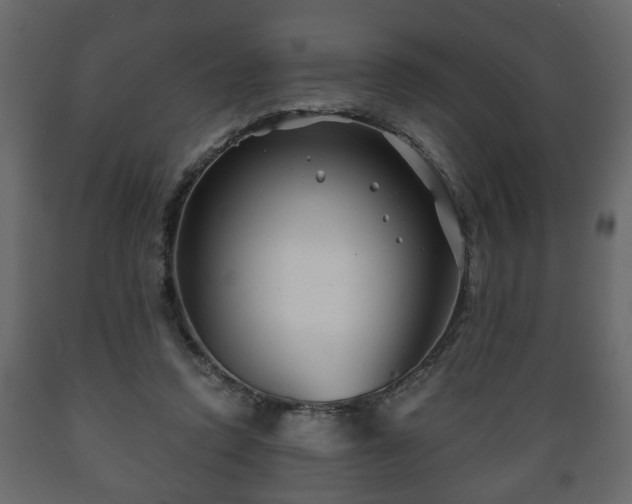 X0000089910354200707061003