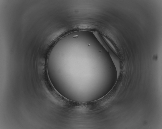 X0000089910356200707061003
