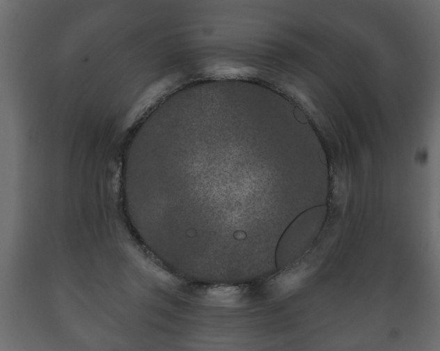 X0000089910357200707061003