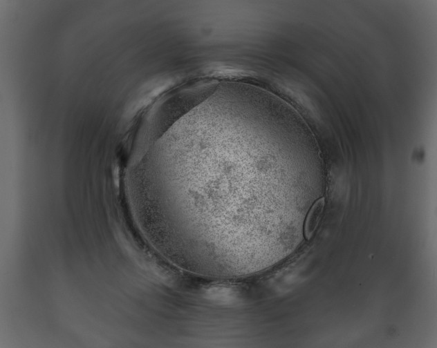 X0000089910358200707061003