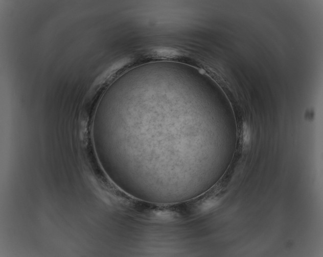 X0000089910360200707061003