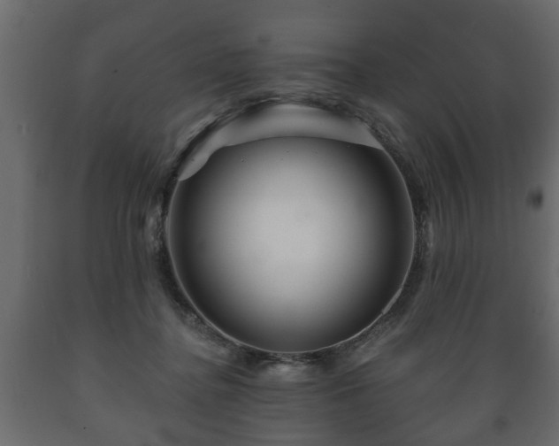X0000089910364200707061003
