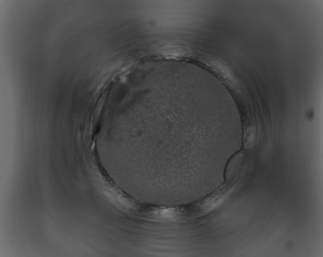 X0000089910365200707061003