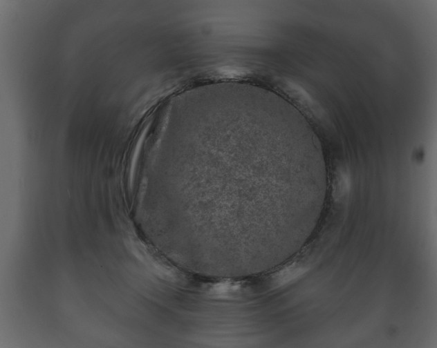 X0000089910366200707061003