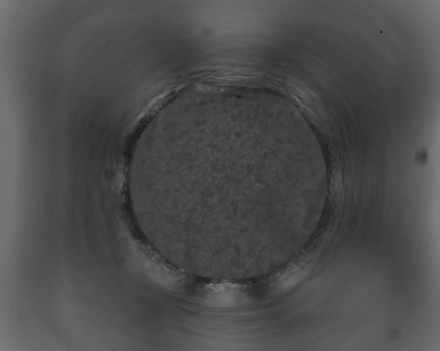 X0000089910367200707061003