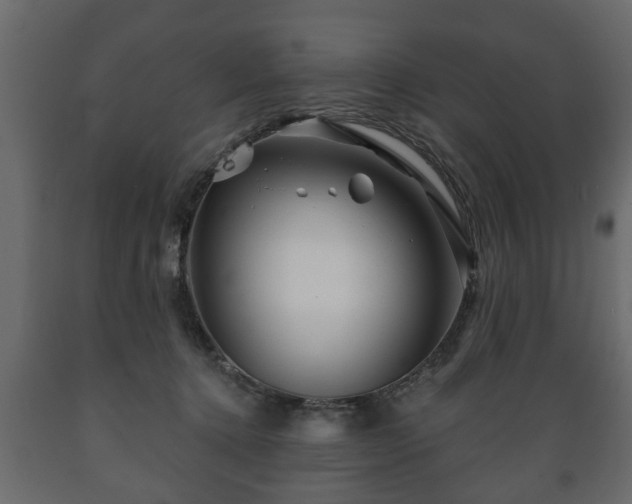 X0000089910368200707061003
