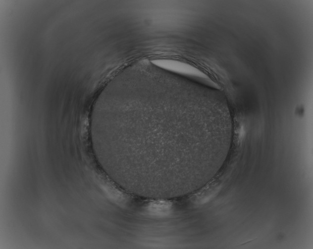 X0000089910369200707061003