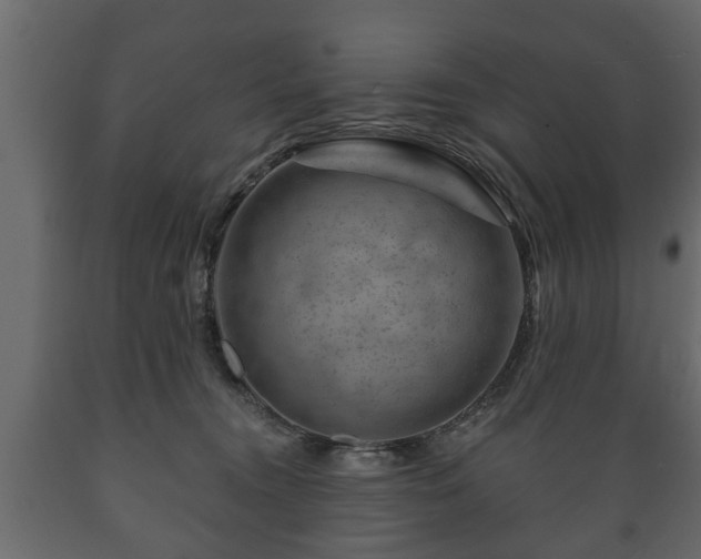 X0000089910372200707061003