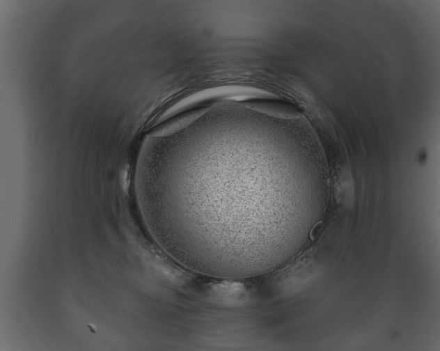 X0000089910374200707061004
