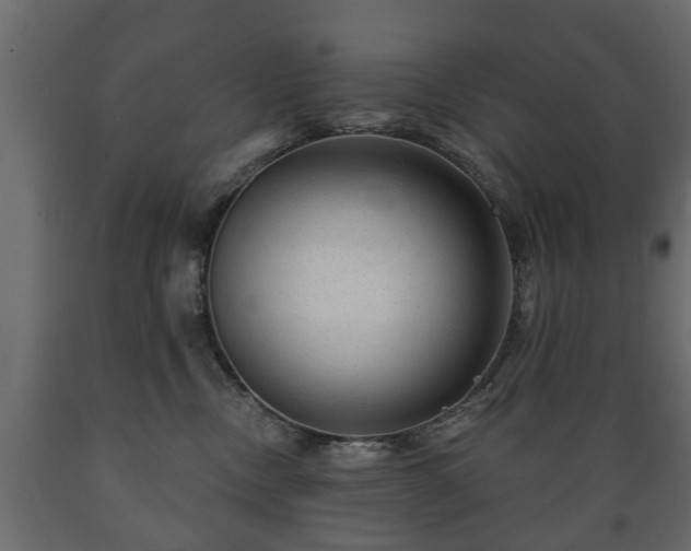 X0000089910378200707061004