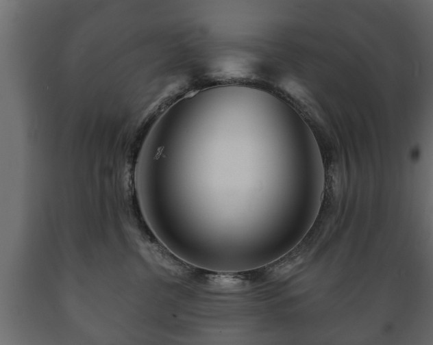 X0000089910380200707061004