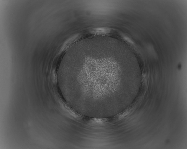 X0000089910381200707061004