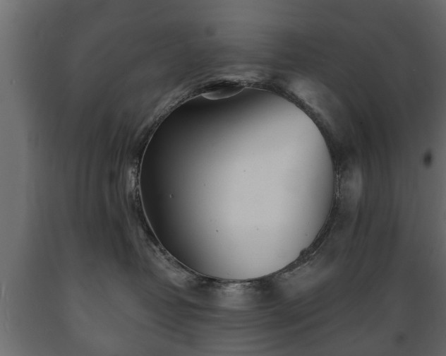 X0000089910382200707061004