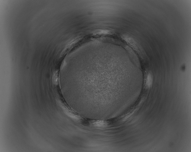 X0000089910383200707061004