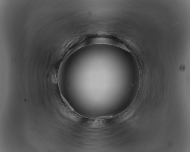 X0000089910384200707061004