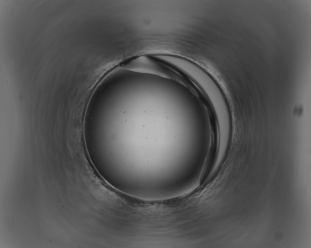 X0000089910385200707061003