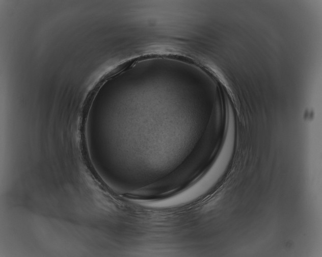 X0000089910387200707061003